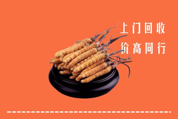 附近收购：咸宁市冬虫夏草回收多少钱每克
