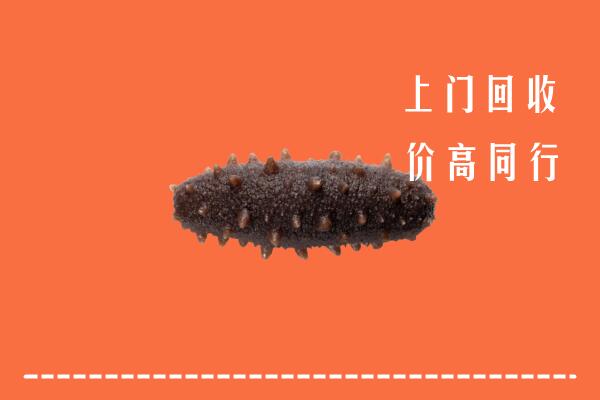 咸宁市回收海参