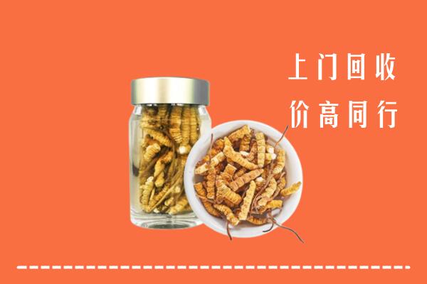 咸宁市回收冬虫夏草